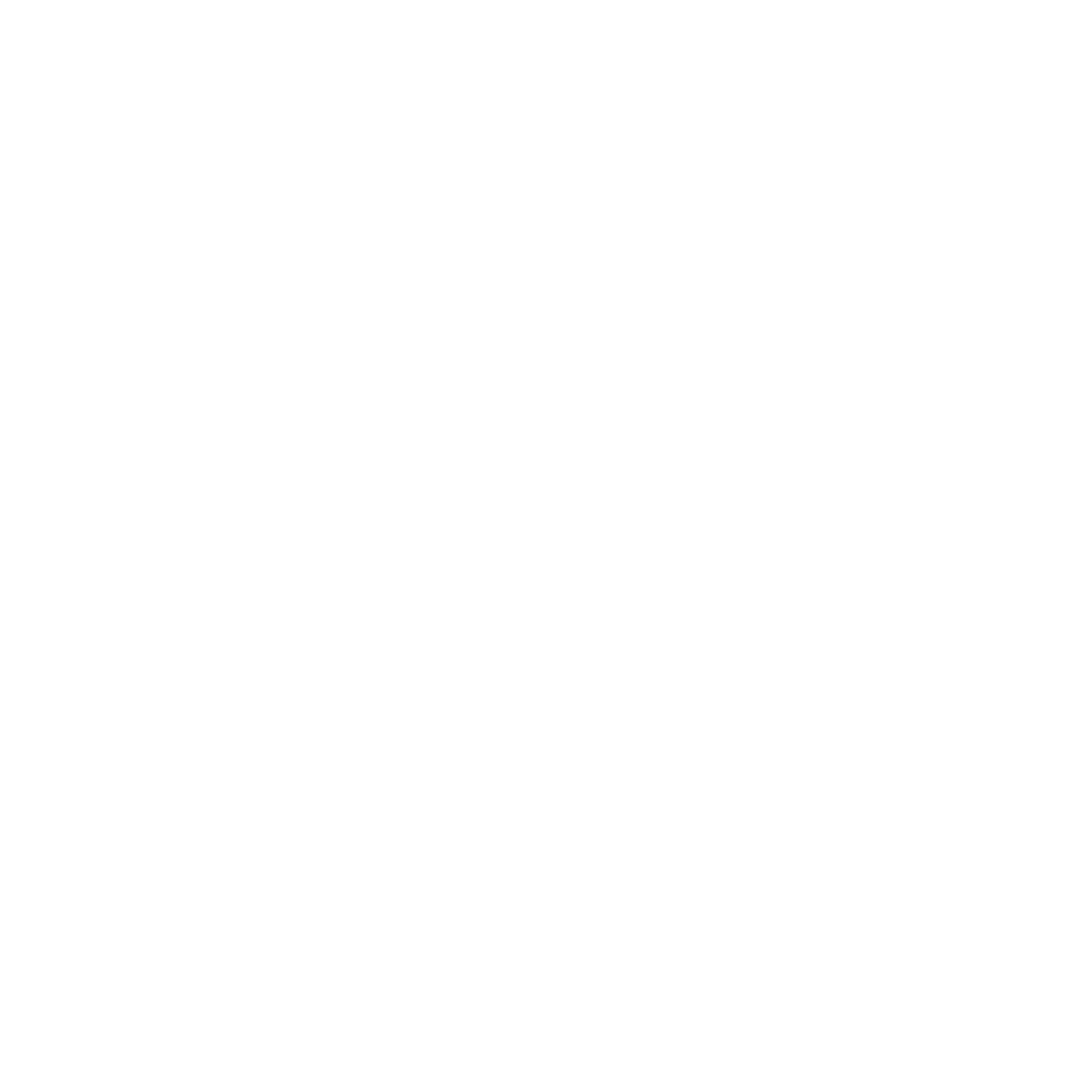 Rugby Balls
