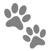 Pets