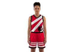 Custom lion animal adult youth unisex basketball jersey - reversible uniform - Jersey