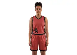 Custom panther animal adult youth unisex basketball jersey - reversible uniform - Jersey