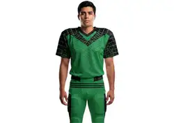Custom turtle animals adult youth unisex football jersey - Jersey