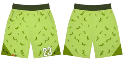 Custom lizard adult youth unisex shorts - Short