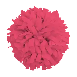 Custom cheerleading pom poms flashen - Pom-poms