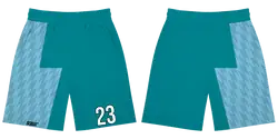 Custom esports shorts adult youth unisex azure - Short