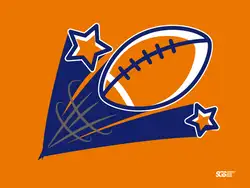 Custom football fabric banner champion - Fabric-banners