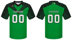 Custom turtle animals adult youth unisex football jersey - Jersey