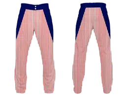 Custom tiny lines design adult youth unisex baseball pants - Baseball-pants