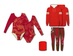 Custom long sleeve gymnastic uniform adult youth majestic dragon - Gymnastics-uniforms