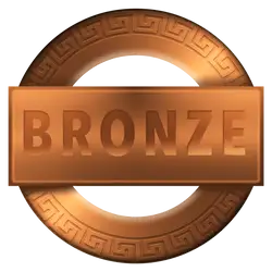 Bronze pins awards - Pins-awards