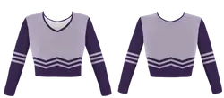 Custom basic lines adult youth unisex cheerleading long sleeve jersey - Jersey
