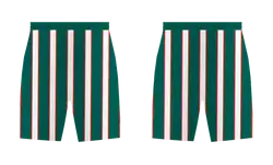 Custom vertical stripes adult youth unisex soccer shorts - Short