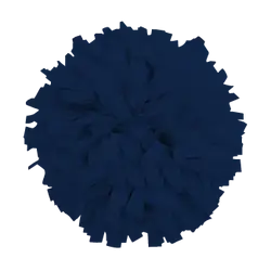 Custom cheerleading pom poms shadow - Pom-poms