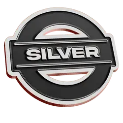 Silver pins awards - Pins-awards