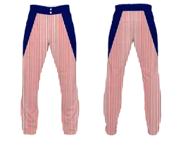Custom tiny lines design adult youth unisex baseball pants - Baseball-pants