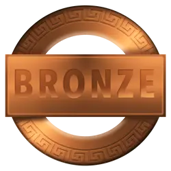 Bronze pins awards - Pins-awards