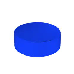 Custom hockey puck blue - Hockey-pucks