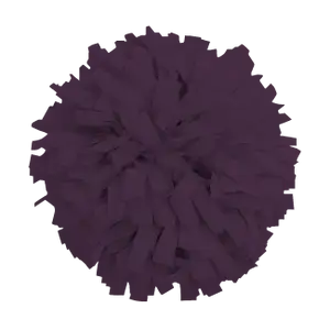 Custom cheerleading pom poms auralis - Pom-poms