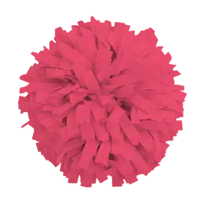 Custom cheerleading pom poms flashen - Pom-poms