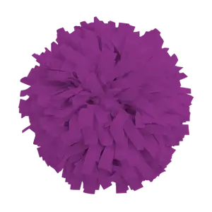 Custom cheerleading pom poms lume - Pom-poms