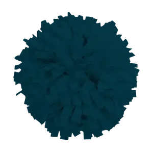 Custom cheerleading pom poms thalora - Pom-poms