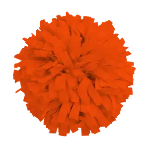 Custom cheerleading pom poms burst - Pom-poms