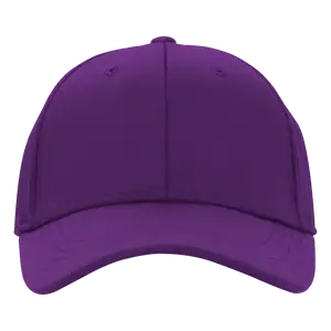 Custom adult youth unisex cpa11 purple cap - Caps