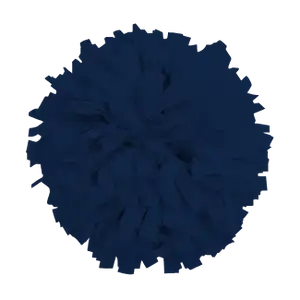 Custom cheerleading pom poms shadow - Pom-poms