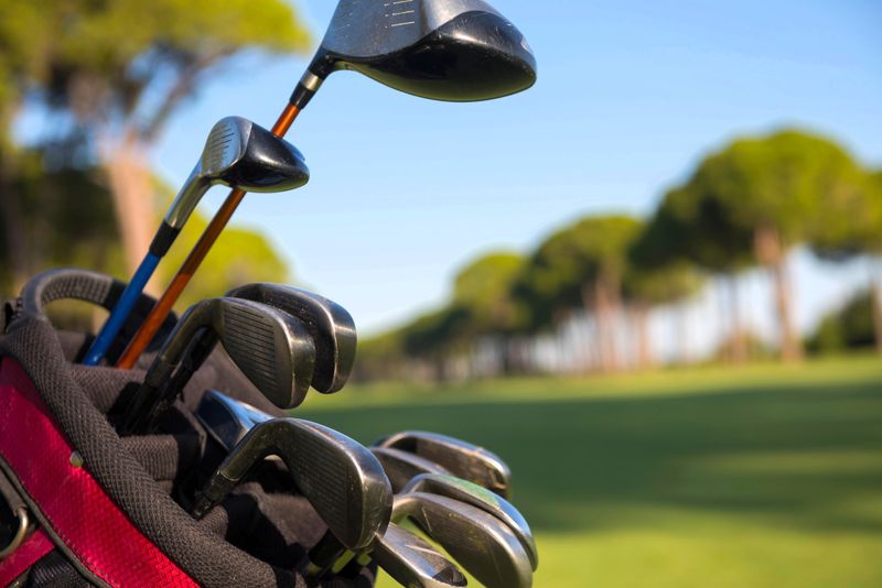 a set of golf clubs in a golf bag