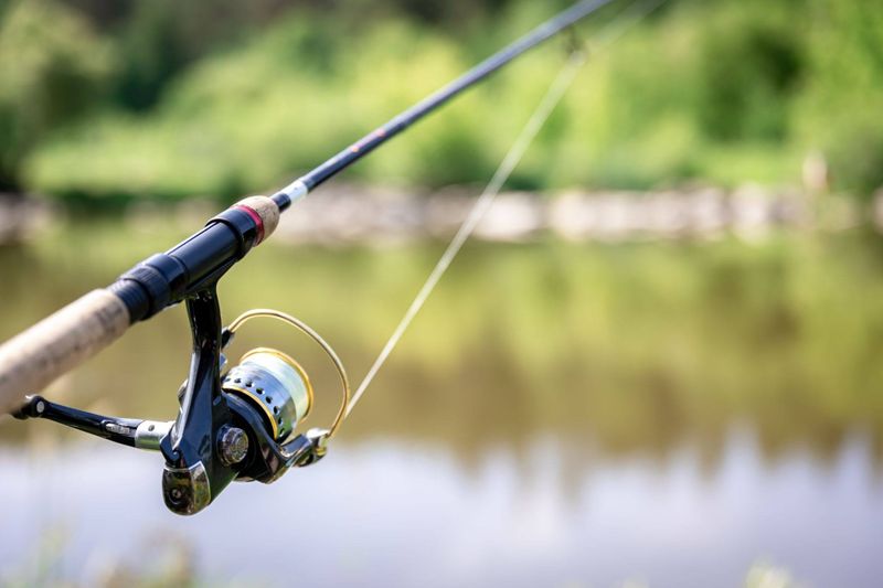 a fishing rod with its line in the water