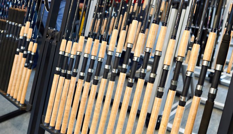 multiple fishing rods in a store