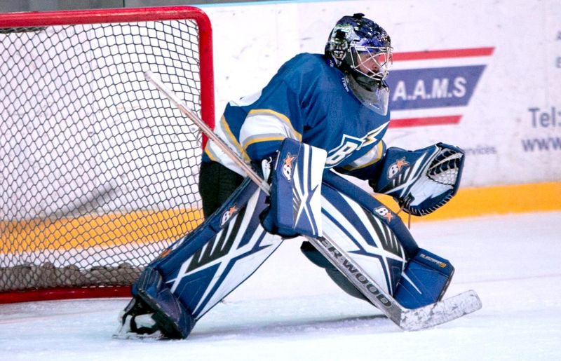 a hockey goalie in front of the goal