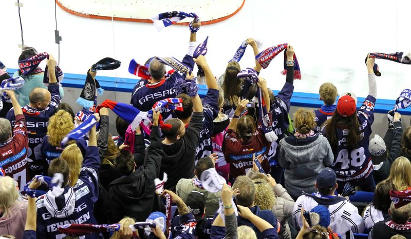 a crowd of ice hockey fans facing an ice hockey rink