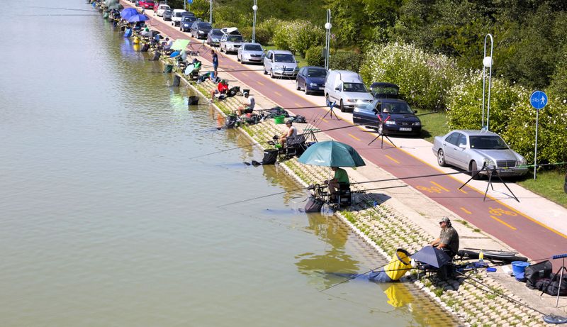 several people fishing in a tournament next to a lake