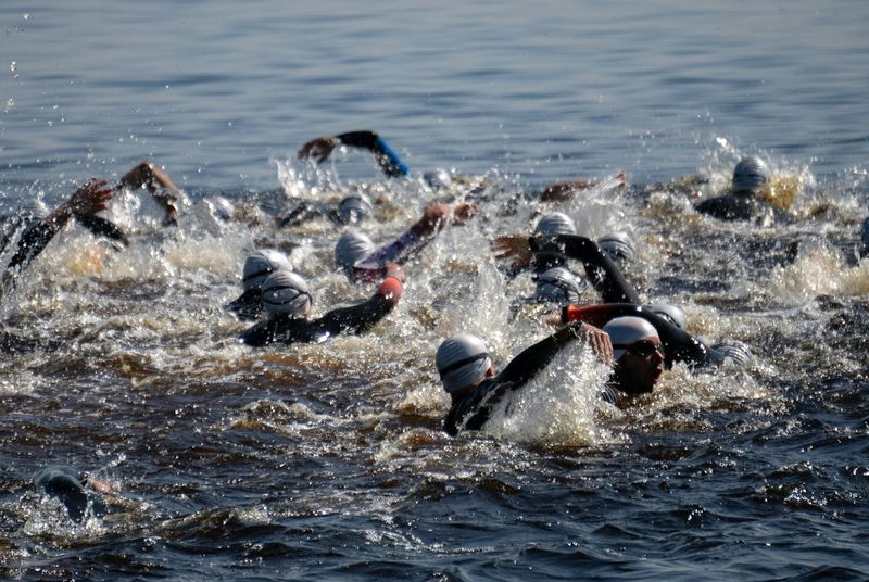 a group of triathletes swimming