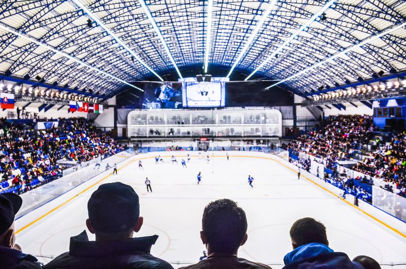 a hockey arena with a glass roof showing a cloudy winter day