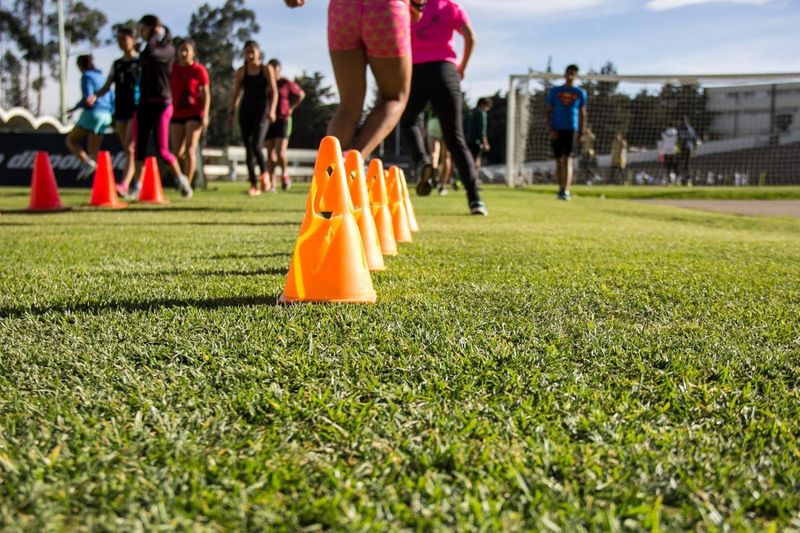 training cones on grass