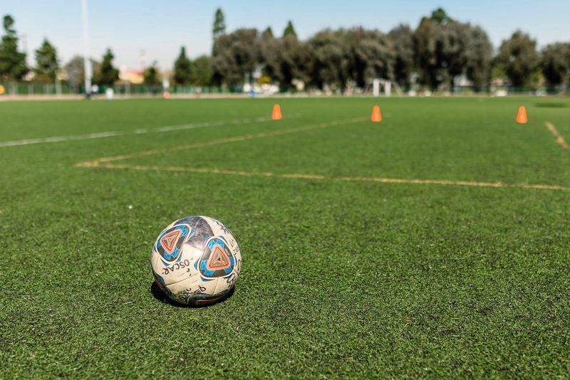 a soccer ball on a pitch with training cones