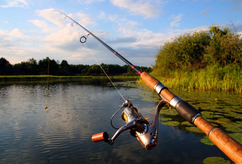 a fishing rod casting out over a lake