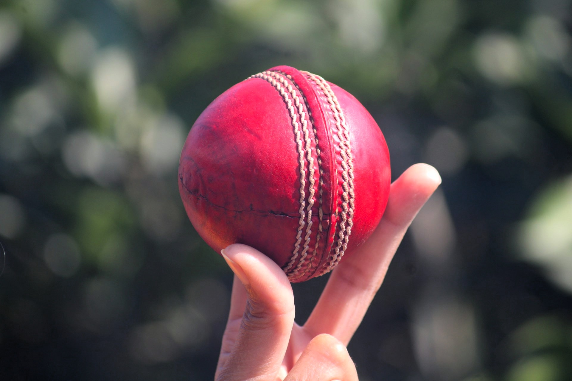 sgs - what are cricket balls made of 1.jpg