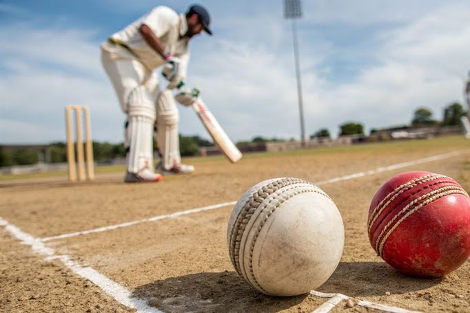 SGS - difference between a white and red cricket ball.jpg