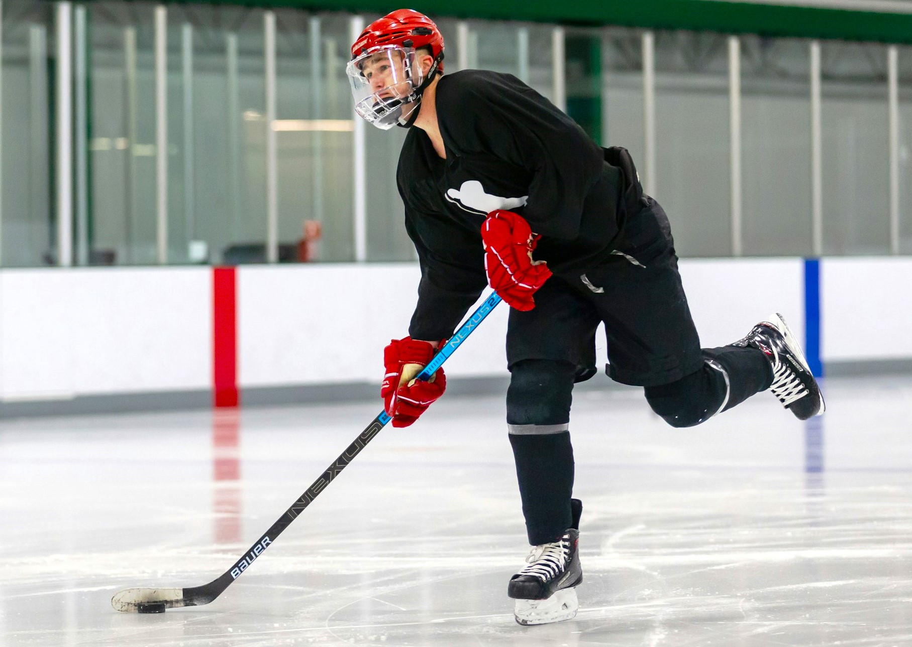 Hockey Glove Size Guide: Find the Perfect Fit